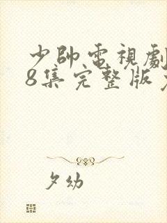 少帅电视剧第48集完整版免费