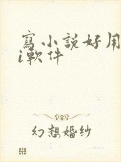 写小说好用的ai软件