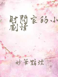 财阀家的小儿子剧情