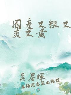 国产又粗又猛又爽又黄