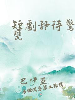 短剧静待惊鸿入瓮