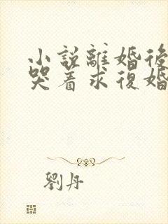 小说离婚后前夫哭着求复婚