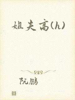 姐夫高(h)