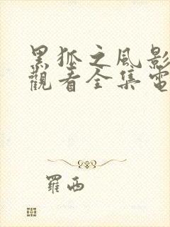 黑狐之风影免费观看全集电视剧