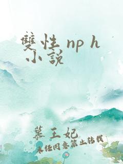 双性 np h 小说