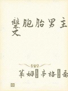 双胞胎男主po文