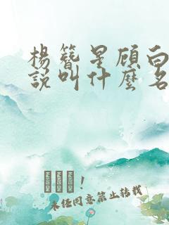 杨簪星顾白婴小说叫什么名字