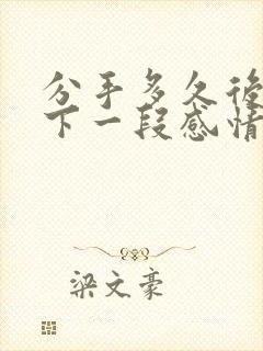 分手多久后开始下一段感情比较好