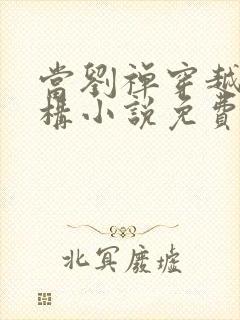 当刘禅穿越成赵构小说免费