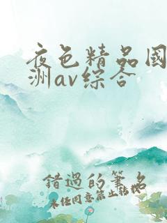 夜色精品国产亚洲av综合
