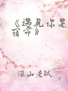 《遇见你是我的宿命》