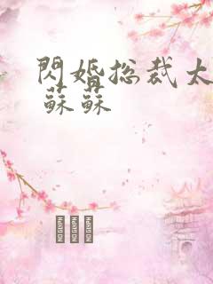 闪婚总裁太霸道 苏苏