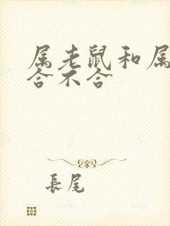 属老鼠和属兔的合不合