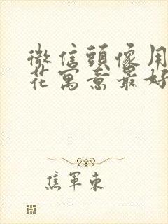 微信头像用什么花寓意最好最吉利