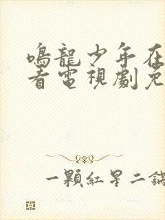 鸣龙少年在线观看电视剧免费