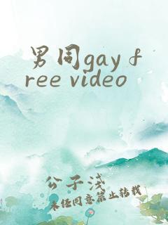 男同gay free video