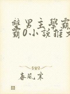 双男主学霸1校霸0小说推文