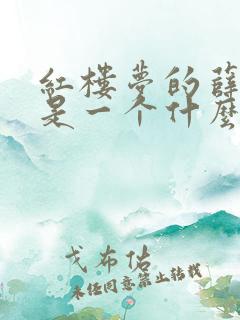 红楼梦的薛宝钗是一个什么样的人