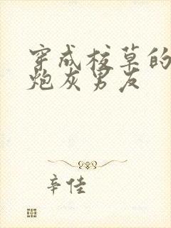 穿成校草的纯1炮灰男友