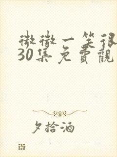 微微一笑很倾城30集免费观看全集