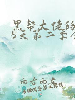 黑帮大佬的365天第二季全集