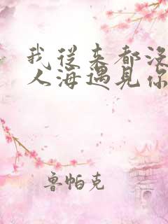 我从来都没后悔人海遇见你是什么歌