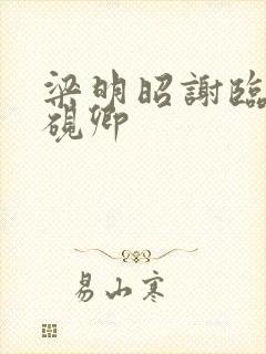 梁明昭谢临飞沈砚卿