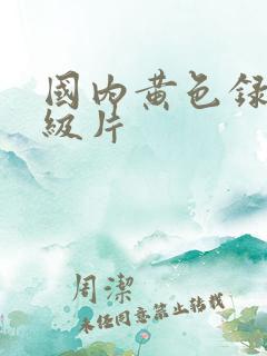 国内黄色录像一级片