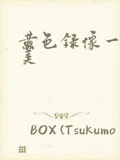 黄色录像一级欧美