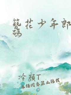 簪花少年郎提取码