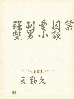 强制爱囚禁调教双男小说