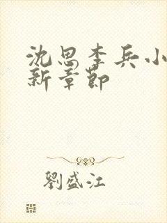 沈思李兵小说最新章节