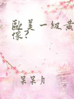 欧美一级黄色录像?