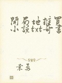 开局地推买大力小说txt奇书网