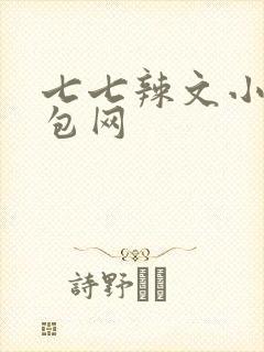 七七辣文小说书包网