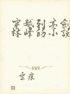 穿越到亮剑主角林峰的小说