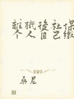 离职后社保可以个人自己缴纳吗