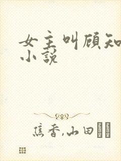 女主叫顾知意的小说