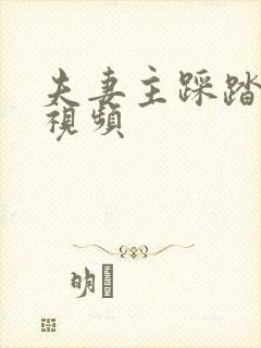 夫妻主踩踏vk视频