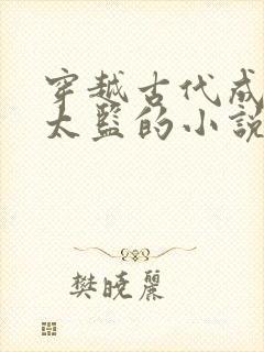 穿越古代成为假太监的小说