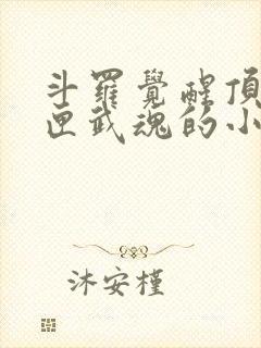 斗罗觉醒顶级剑匣武魂的小说