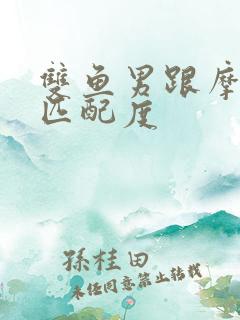 双鱼男跟摩羯女匹配度