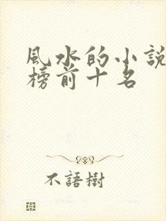 风水的小说排行榜前十名