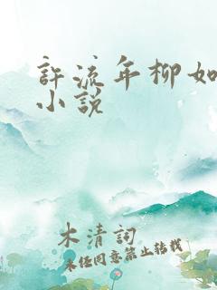 许流年柳如烟的小说