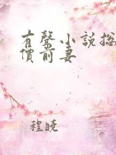 有声小说总裁天价前妻