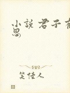 小说 君子有九思