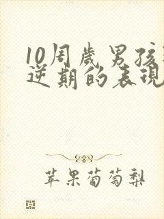 10周岁男孩叛逆期的表现