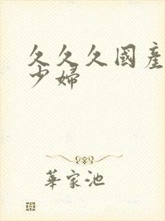 久久久国产精品少妇