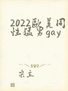 2022欧美同性猛男gay