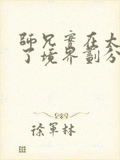 师兄实在太稳健了境界划分